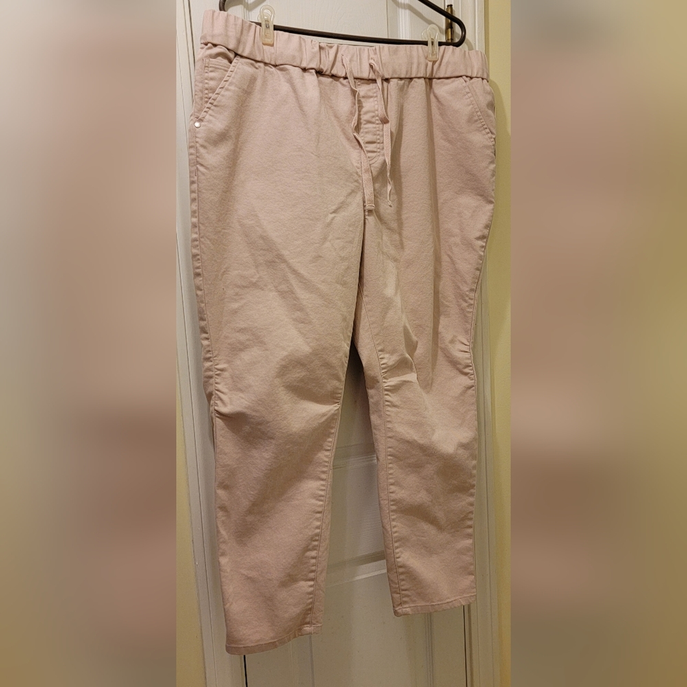 CITY CHIC AVENUE 20 Comfort dusty pink pants.  Elastic waist with drawstring